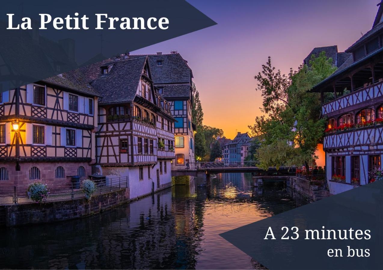 Le Reve Bleu - Golden Tree - Wifi - 15Min Centre Ville De Strasbourg Schiltigheim Luaran gambar
